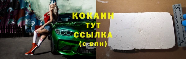 прущий лед Алзамай