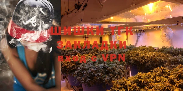 PSILOCYBIN Ростов